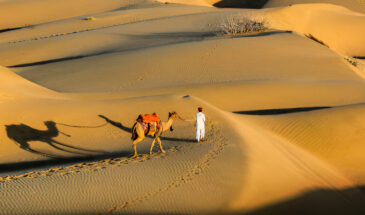 5N/6D Rajasthan Desert Express Package