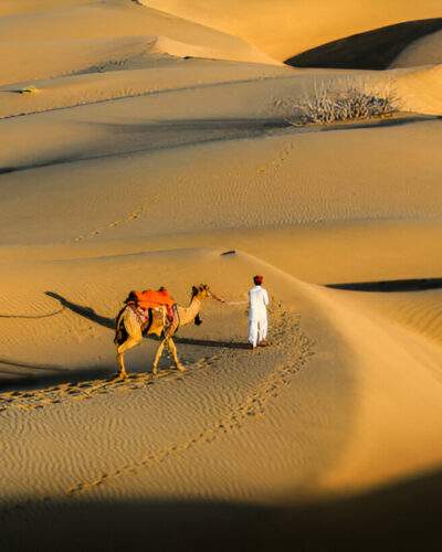 Rajasthan Tour Packages