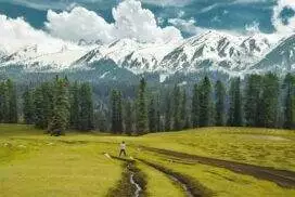 Chiranbal Meadows, Jammu and Kashmir