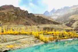 Ladakh in Autumn