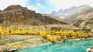 Ladakh in Autumn