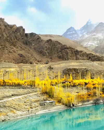 Ladakh in Autumn