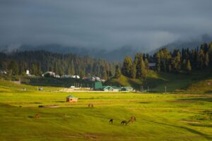 Yusmarg, Jammu and Kashmir- Kashmir Tour Package with Yusmarg Excursion