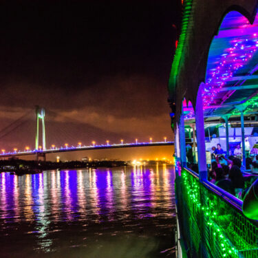 Kolkata Durga Puja Cruise Tour