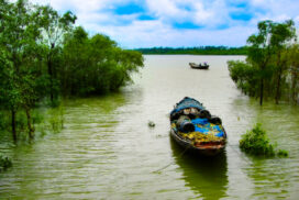 Unprecedented Influx of Tourists in Sundarbans in Bengal Leads to Accommodation Crisis