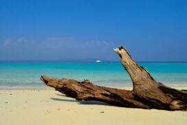 Exploring the Best Beaches in the Andaman & Nicobar: Both Popular and Hidden Gems