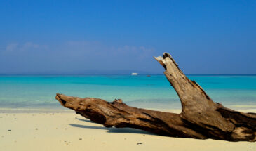 Exploring the Best Beaches in the Andaman & Nicobar: Both Popular and Hidden Gems