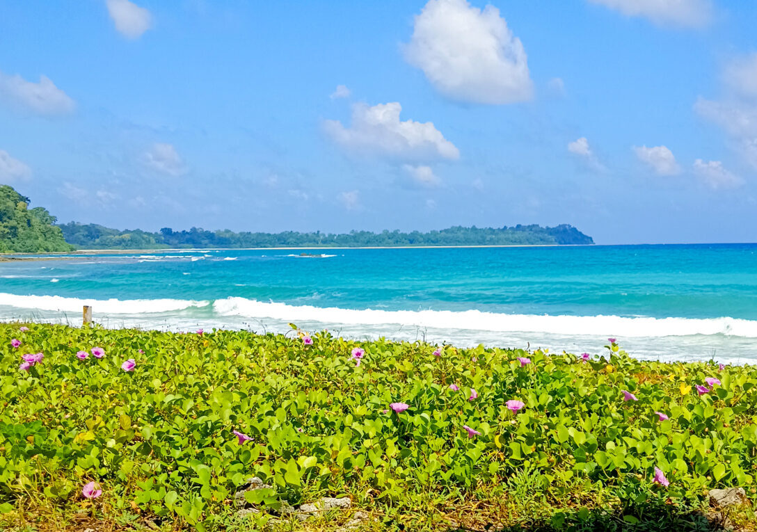 Smith Island's Noth Beach is the No 3 among the beaches in the Andamans