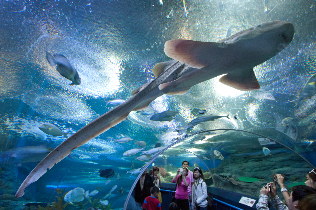 Underwater World Pattaya