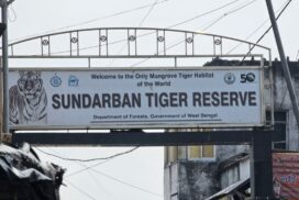 Sunderban Tiger Reserve Entry Fees to Increase from September 2024