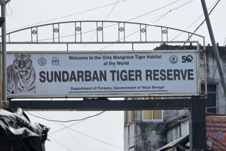 Sunderban Tiger Reserve Entry Fees to Increase from September 2024