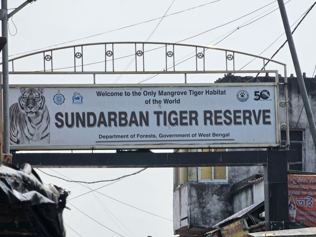 Sunderban Tiger Reserve Entry Fees to Increase from September 2024