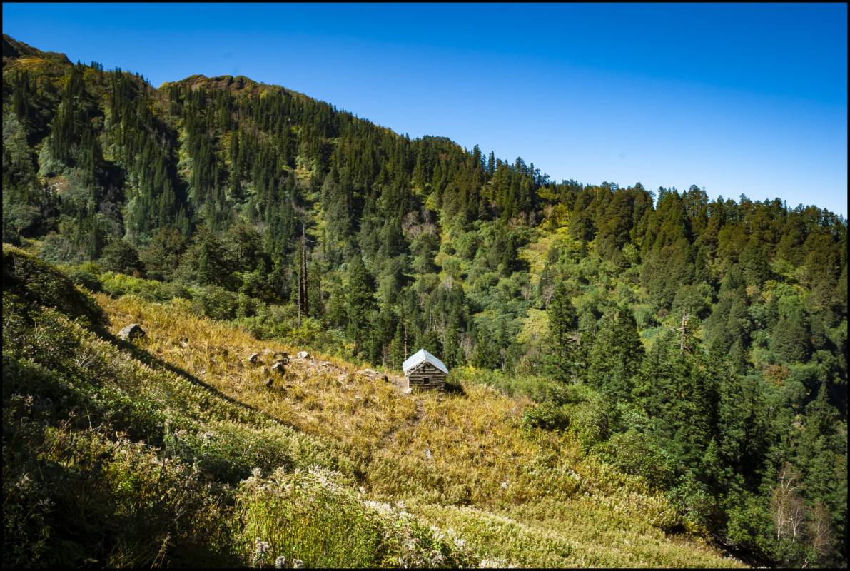 Subli Thach (Meadows), Jiwa Nal Valley Trekking Route from Sainj Valley, Great Himalayan National Park, Himachal Pradesh, India