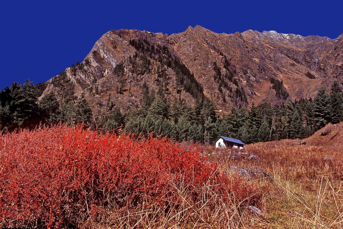 Parkachi, along the trek to Raktisar, the source of the Sainj River, is renowned for its vibrant autumn colors and prime bear habitats. It’s a photographer’s paradise, ideal for capturing stunning peak hues and diverse wildlife.