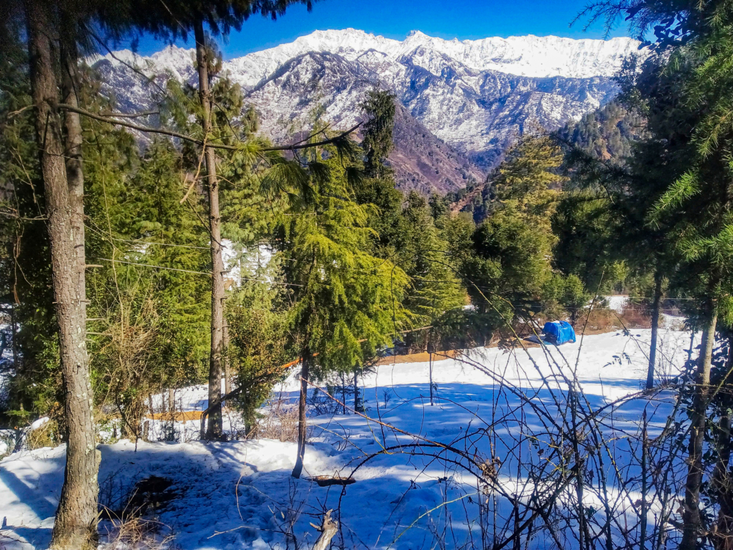 Great Himalayan National Park in Spring