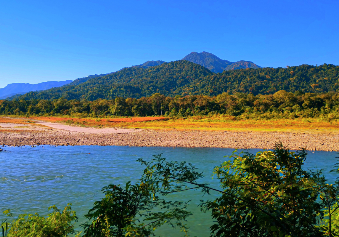 Manas National Park (Assam)