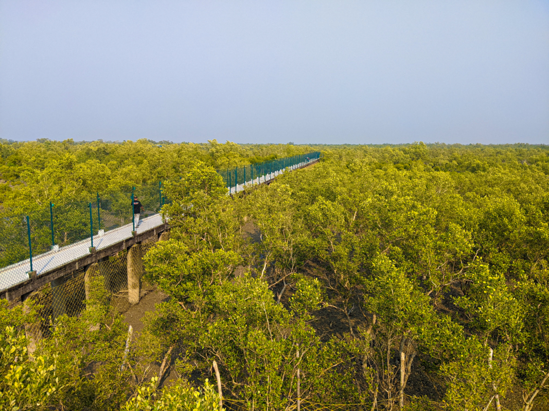 Sundarban National Park: Canopy Walk at Dobanki