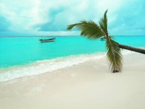 Lakshadweep Tour Packages by SetMyTrip: Kadmat Island Beach