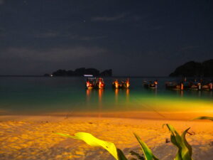 Phi Phi Island Beach at Night: SetMyTrip's Thailand Packages