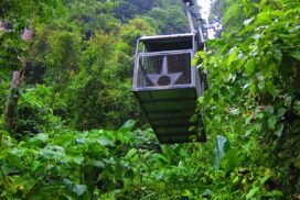 World’s First Ropeway Wildlife Safari to Launch in Tadoba Andhari Tiger Reserve