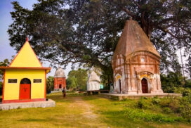 Kiriteswari Village-Murshidabad-West-Bengal