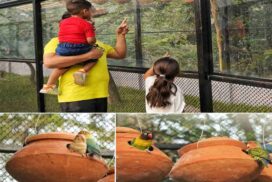 Alipore Zoological Garden of Kolkata Unveils India’s First Glass-enclosed Walk-In Aviary