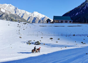 Experience the Snow Clad Landscapes in the curated Kashmir Winter Tour Packages by SetMyTrip