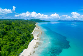 Aerial View of Kalapathar Beach: Swaraj Dweep (Havelock Island): Best Places to Visit & Top Things to Do