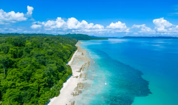 Aerial View of Kalapathar Beach: Swaraj Dweep (Havelock Island): Best Places to Visit & Top Things to Do