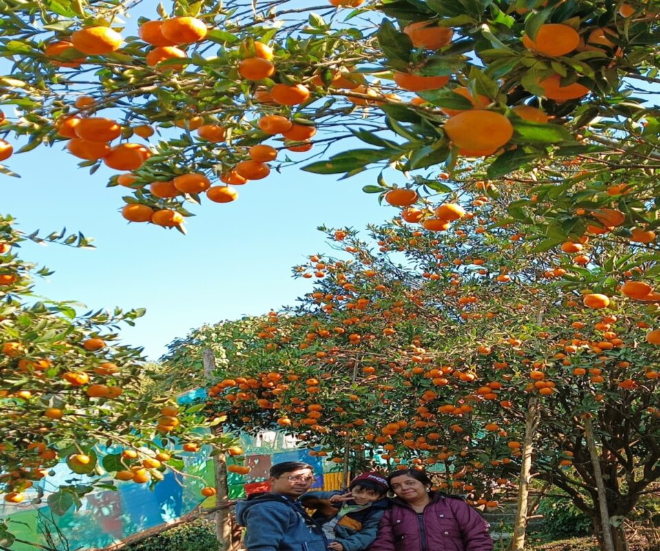 Darjeeling Orange Festival