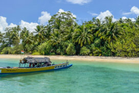 Aves Island, one of the newly opened tourist destinations in the Andaman Islands