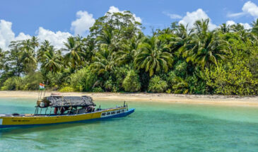 Aves Island, one of the newly opened tourist destinations in the Andaman Islands