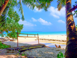 Best Places in the Andaman Islands to Visit: View of Vijaynagar Beach from Wild Orchid Beach Resort, Havelock Island (Swaraj Dweep)