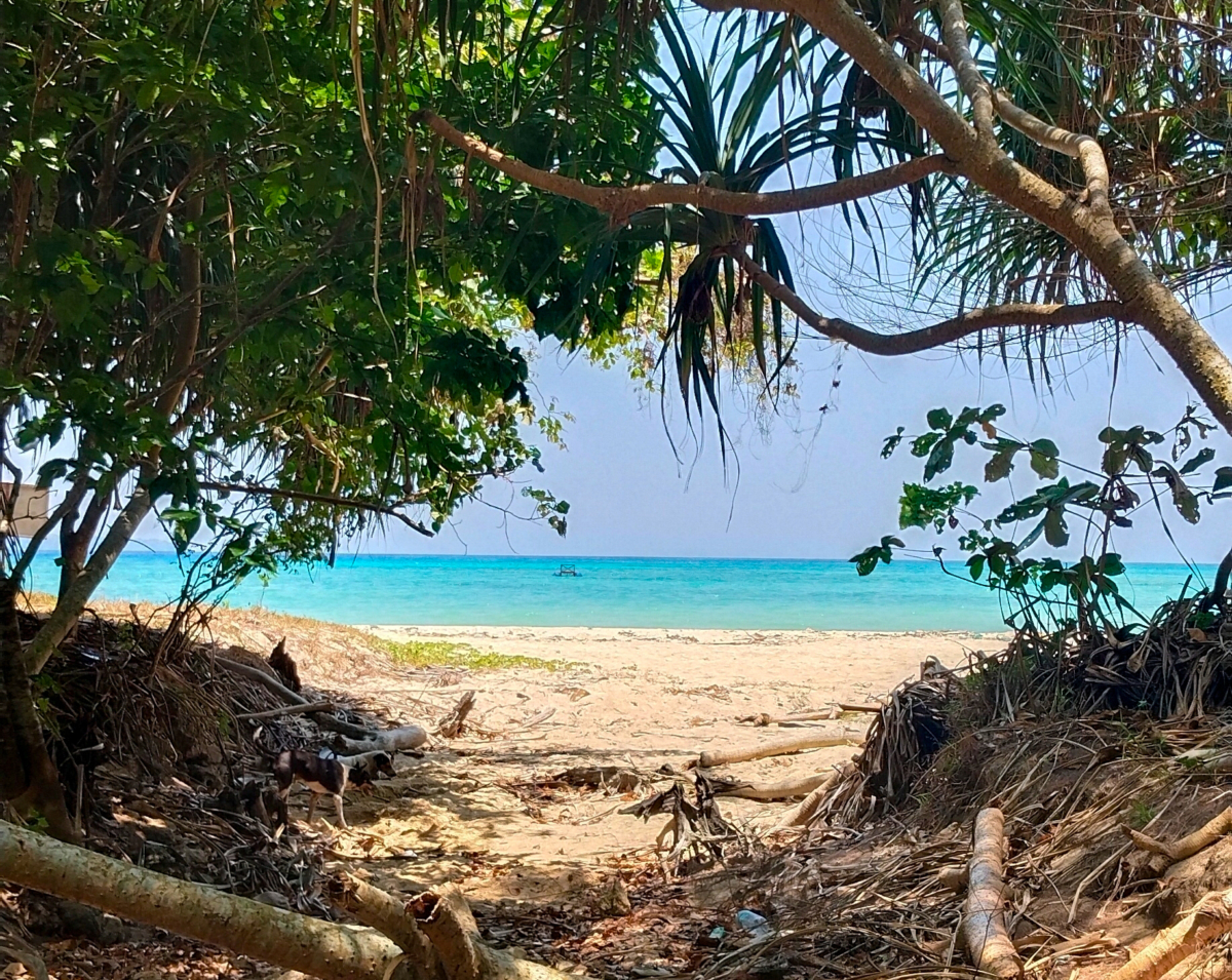 Wandoor Beach is one the Stunning Turquoise Beaches along the border of Mahatma Gandhi Marine National Park.