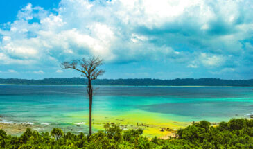 Indira Point: One of the Prime Attractions in Great Nicobar Islands