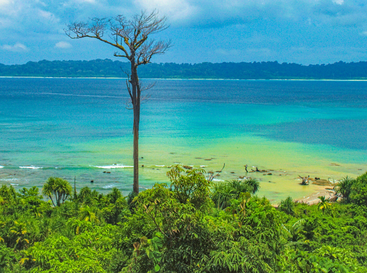 Indira Point, the Last Point of Republic of India, is situated at the border of Galathea Bay National Park.