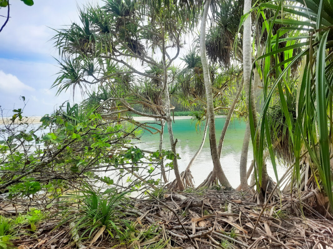 Forest Protection Camp, Galatea, Wildlife Range, Campbell Bay