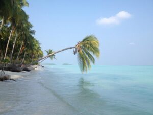 Thinnakara Island: Lakshadweep Tour Packages by SetMyTrip