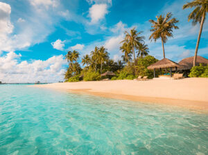 Bangaram Island Beach. Tropical landscape of summer scenery, white sand with palm trees. Luxury travel vacation destination. Exotic beach landscape. Amazing nature, relax, freedom nature resort coast